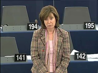 Diana Wallis on the programme of the Spanish Presidency