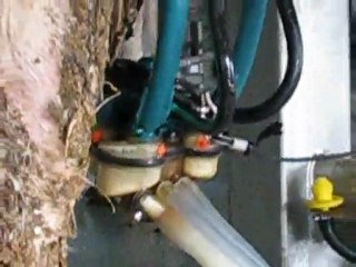 Faisceau trayeur IQ Westfalia