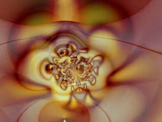 insights into a parallel universe 1