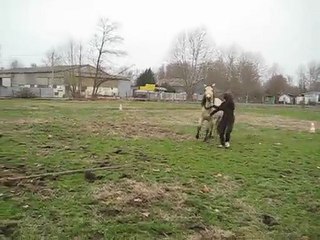 Kitsuneïro Et le Trot " Espagnol " [ Team-Patawak]