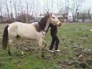 Kitsuneïro et le Pas Espagnol . [Team-Patawak]