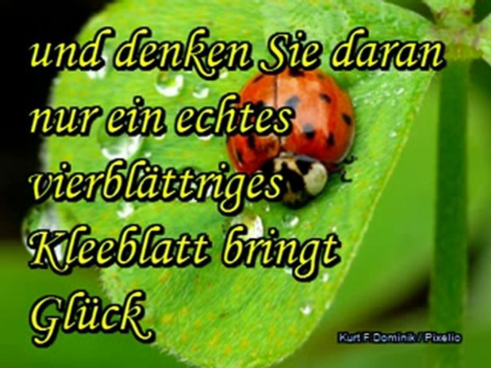 individuell gestaltbare Geschenkidee