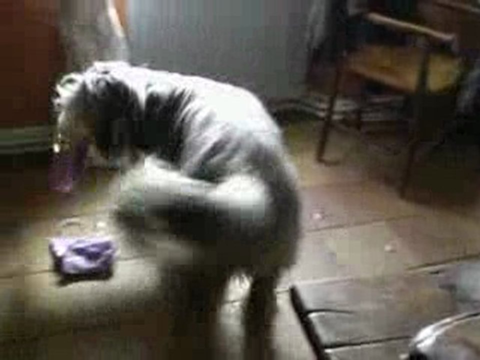 DSCN0408