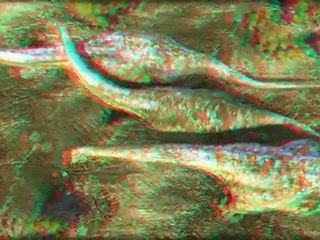 Trailer of pangea 3d