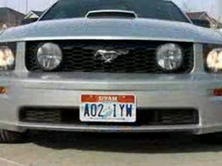Stack Racing Lower Grille Kit for 05-09 Mustang