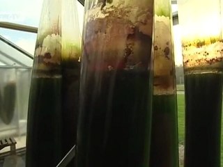 Producing energy,reducing emissions | Video of the day