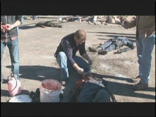 Gamer -  Body Special FX - Clip