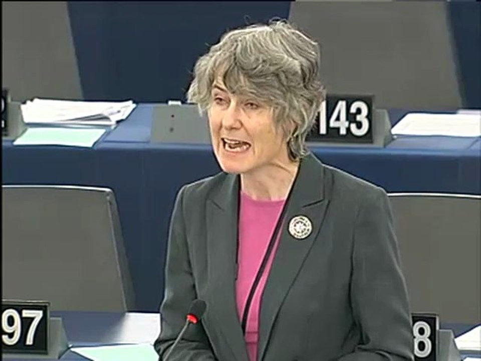 Fiona Hall on the Copenhagen summit on climate change