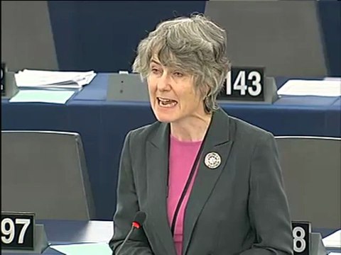 Fiona Hall on the Copenhagen summit on climate change