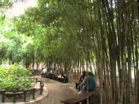 INTER CONTINENTAL MEDELLIN Discover