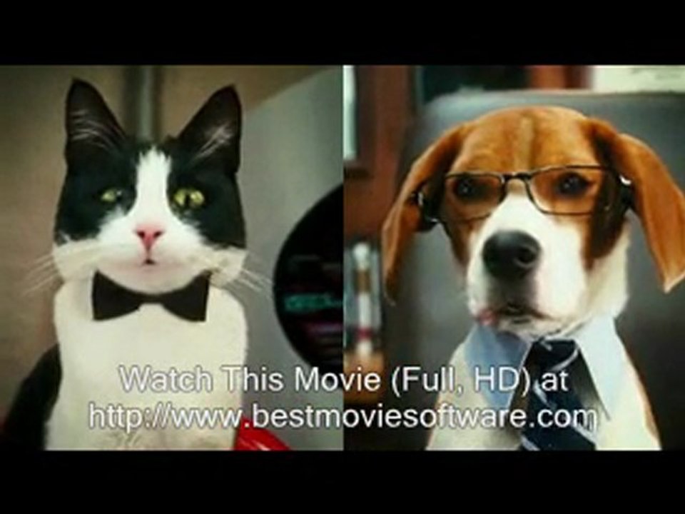 Watch Movie Cats And Dogs : The Revenge Of Kitty Galore ...