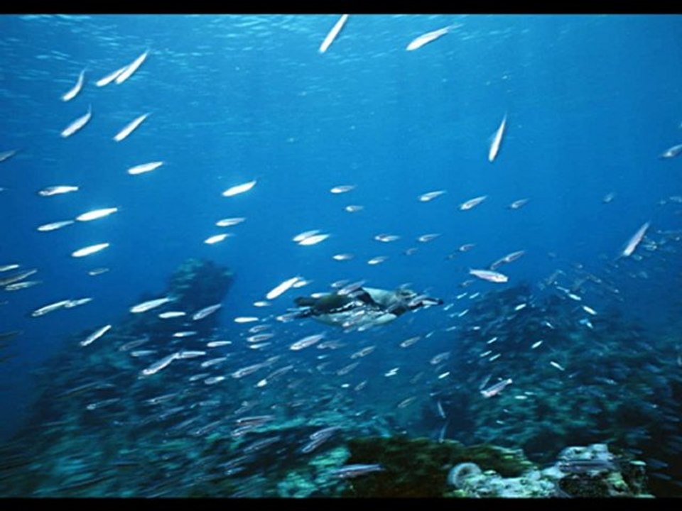 脳をよくする薬奏 集中力強化　～サブリミナル効果～　1.微動