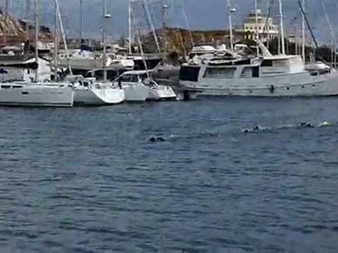 Club Stéphanois de Plongée Sous-Marine : PMT Janvier 2010