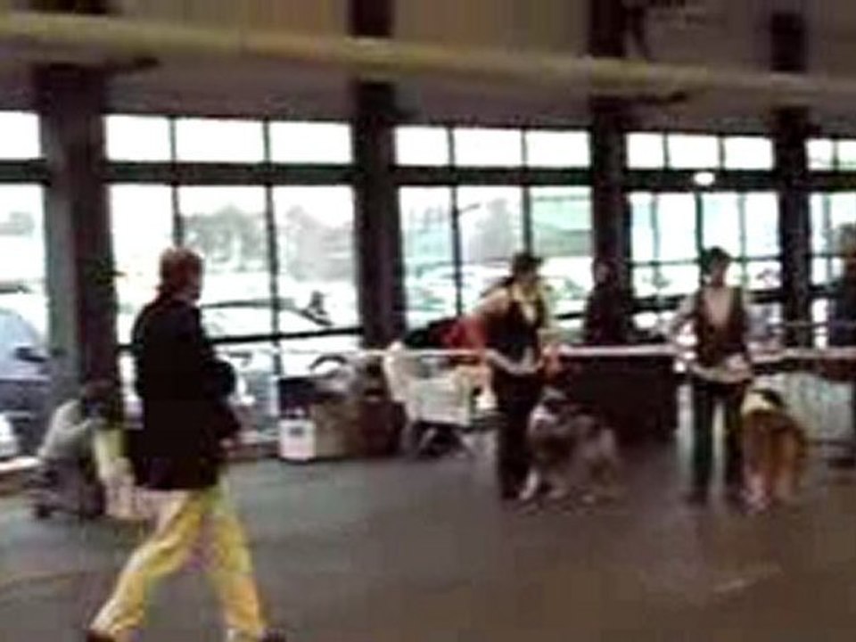 expos canine Bordeaux 17-01-2010