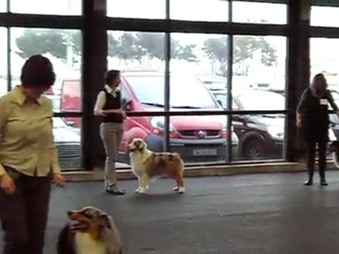 expos bordeaux 17.01.2010