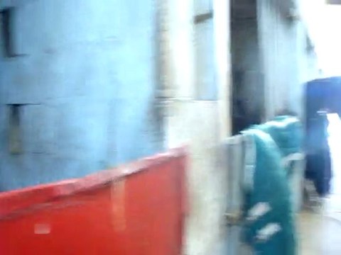 les chevaux du centre équestre de bozouls (aveyron)