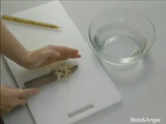 料理2
