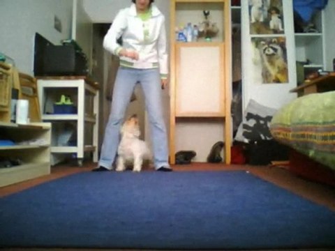 Entraînement du 21 Janvier 2010