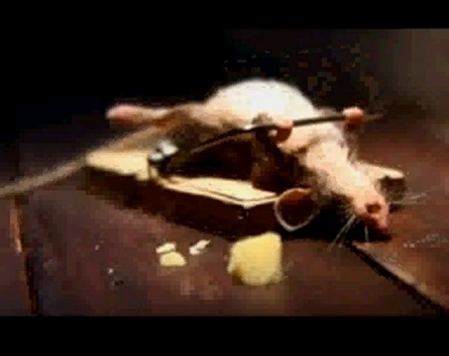 Souris surpuissante :D