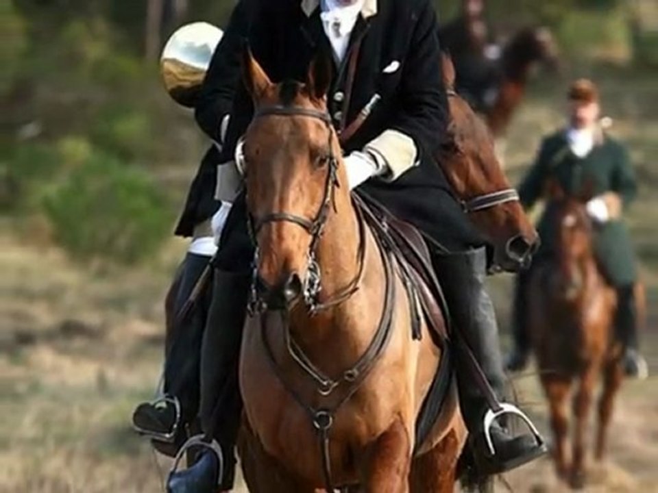 Reportage FT Saintongeais & Aunis-Poitou