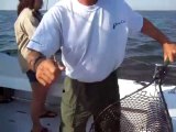 Lake Erie Michigan Walleye fishing Charter