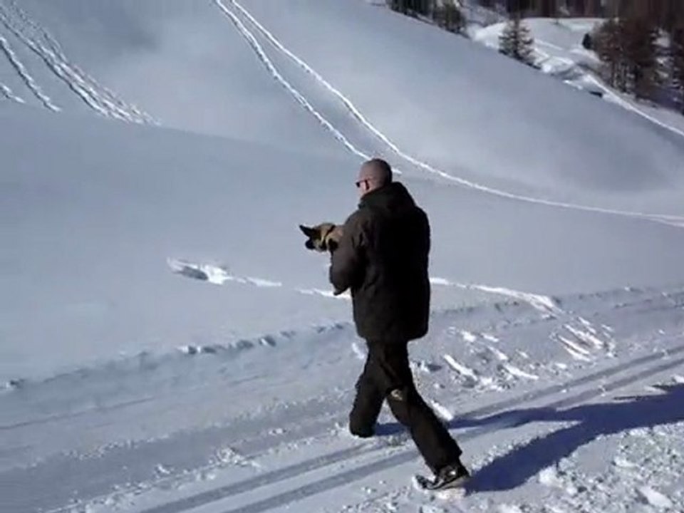Paf le chien, le vrai !!!