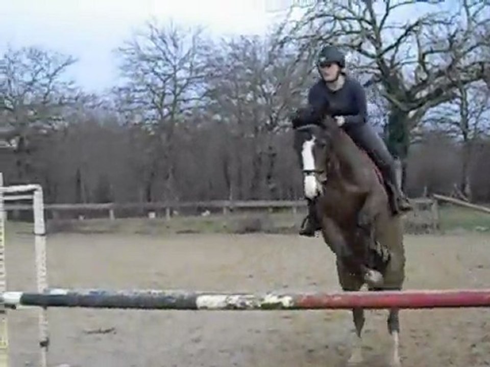 saut d'obstacle entrainement