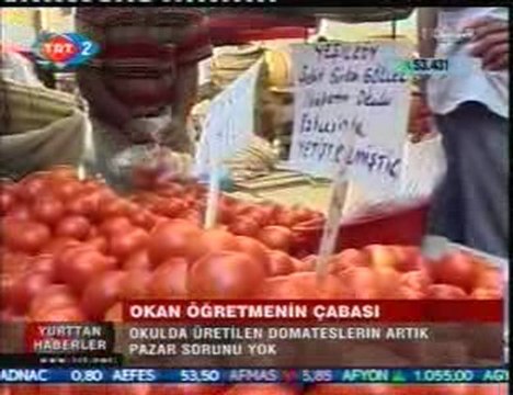 yeşilköy şehit gürkan gökçek ilköğretim okulu