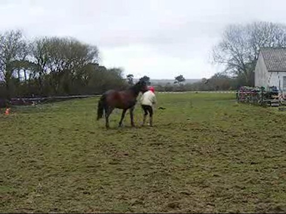 Espion & Jingel & Roméo