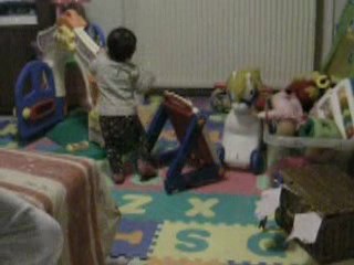 les 1ers pas de ma puce