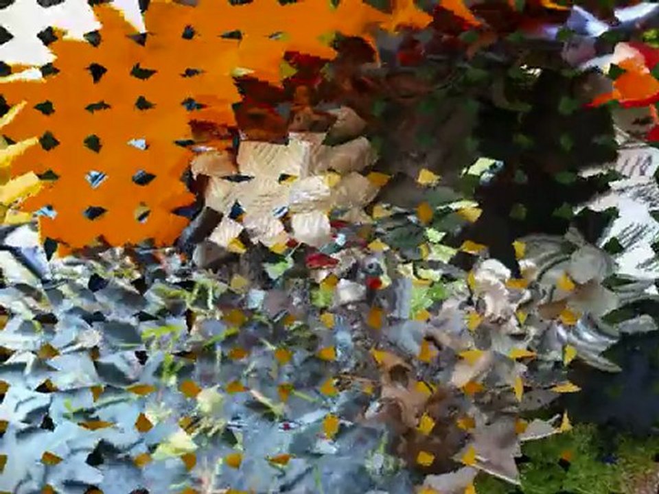 adly 300 thunderbique