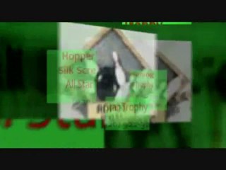 Trophies Fond du Lac- Hoppers Silk Screening and All Star T