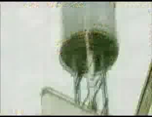 Em breve: Law & Order Los Santos Crime Intent