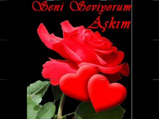 SENİ SEVİYORM--MEHMET AYTEN