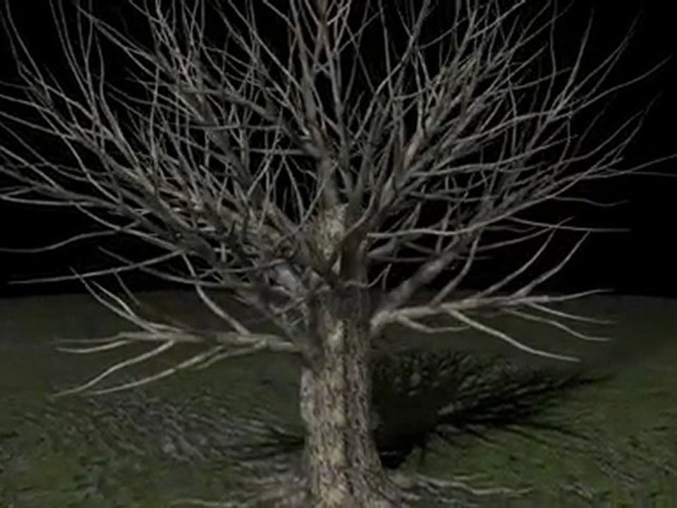 Tree Cinema4D XFrog Test