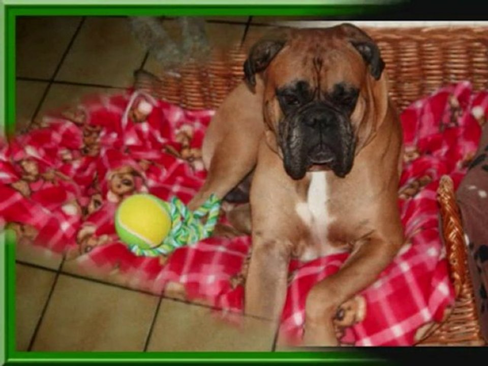 100.000 commentaires