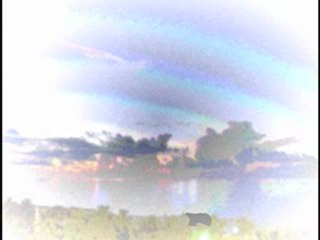 Teaser Clip - Ma Vie - By Gregory Bonino aka Ubeekuitee