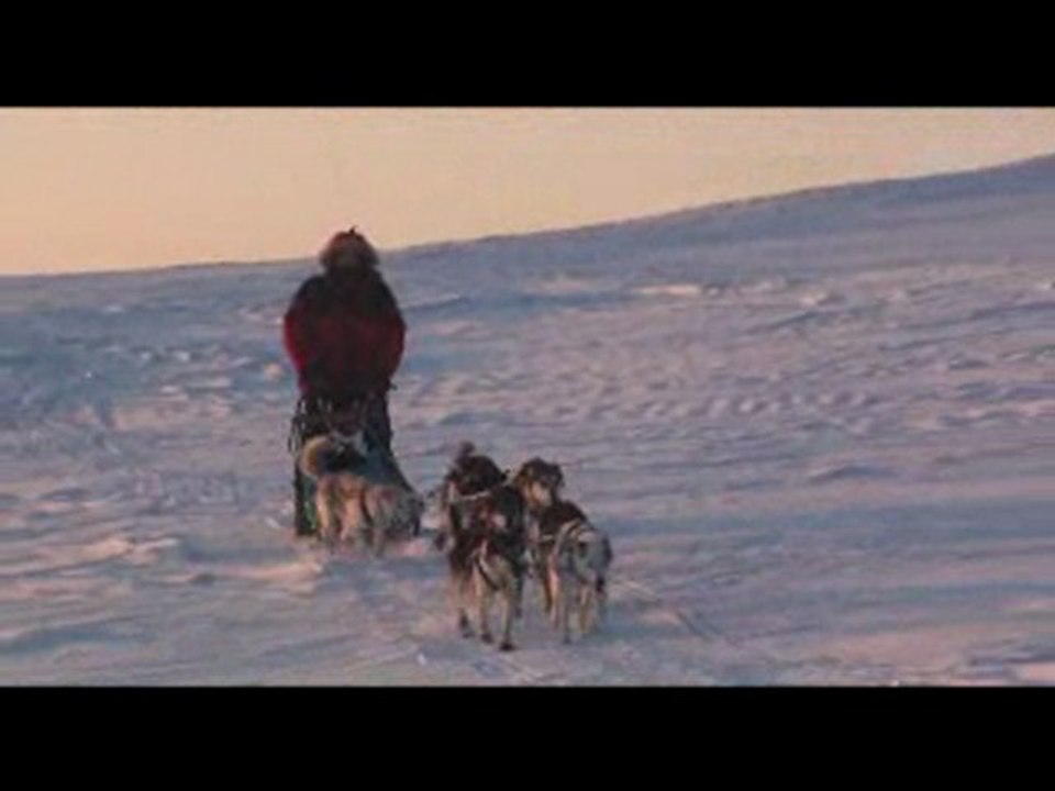 Raid en laponie suédoise avec des chiens de traineau