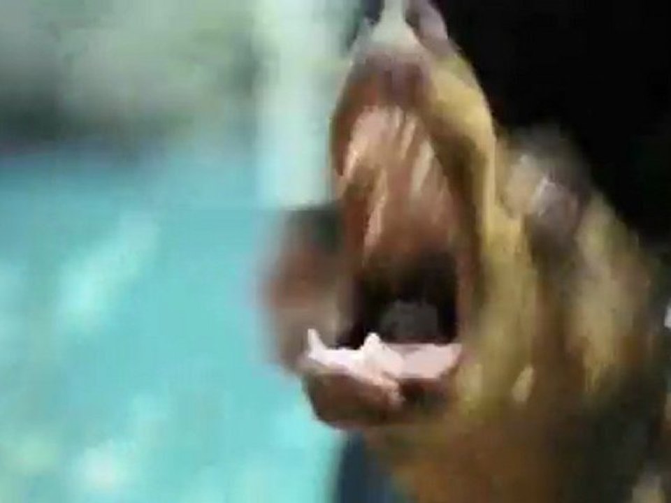 Ejder Kapanı - Sineyorumcu.com