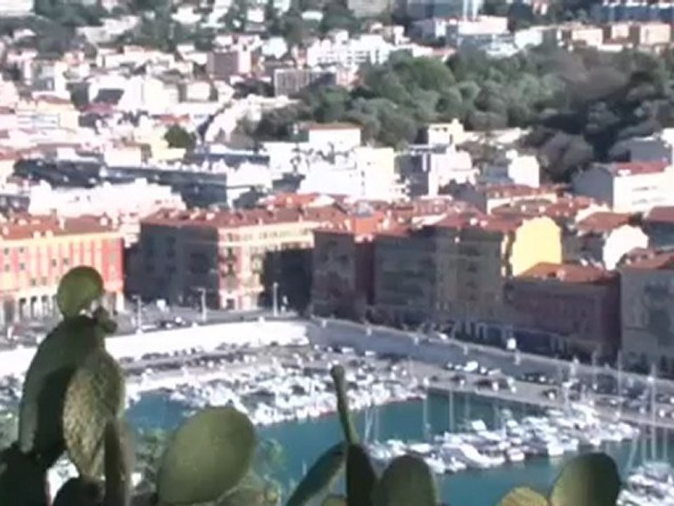 Vote for Priscilla ! Nice Carnival Queen 2010