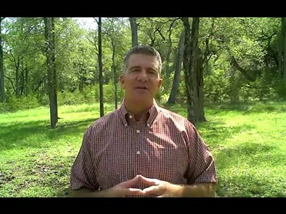 "New Business Opportunity Online": What You Must Have!