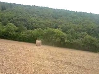 Délires Dans Les Champs !.