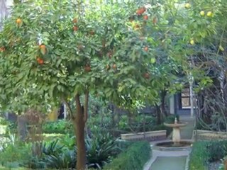 Adnan Azzam لويزة ناظور تستقبل عدنان عزام