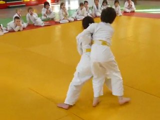 tai otoshi