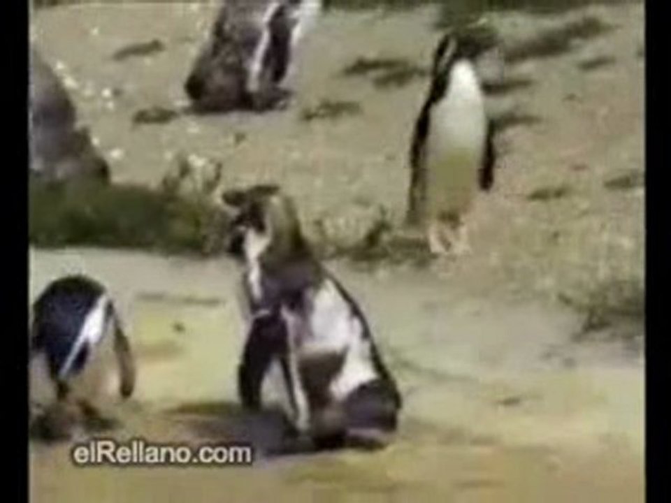 Lundi vs Vendredi - Monday vs Friday - الإثنين والجمعة