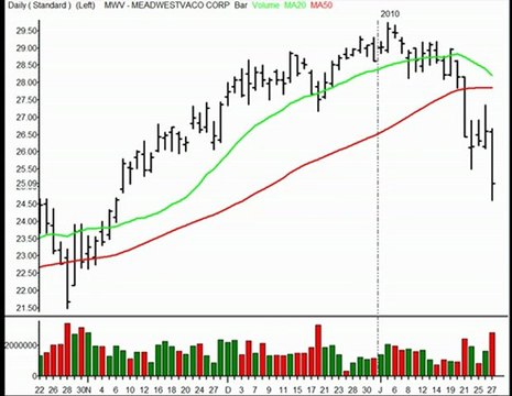 TraderInsight Stocks and Sectors on the Radar: Jan 28, 2010.