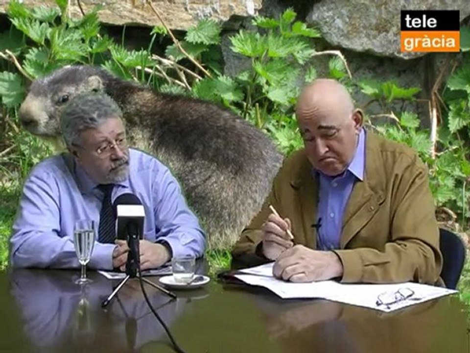 El dia de la marmota 1