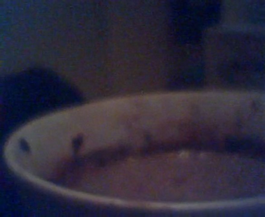 chocolate