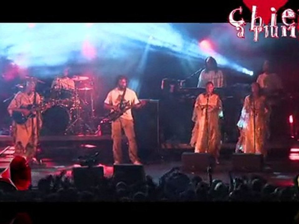 Festival Le  Chien à Plumes 2008 live