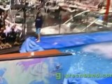 Minneapolis Minnesota Boat Show Wakeboard Rail Jam